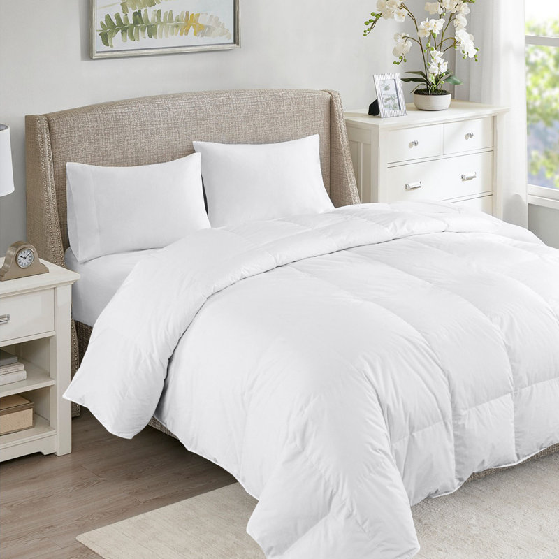 Eider & Ivory All Season Down Comforter & Reviews Wayfair